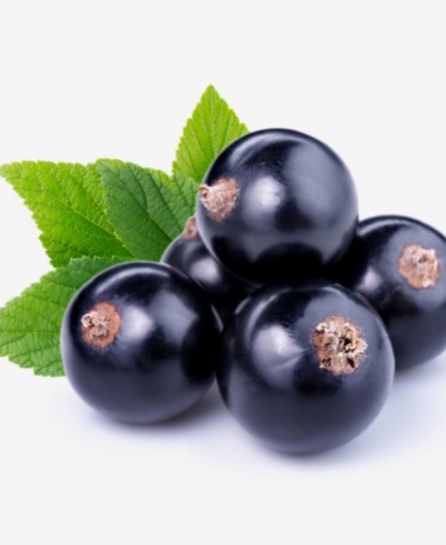 hier ook exclusief veranderen en eventueel yodema veranderen in Yodeyma